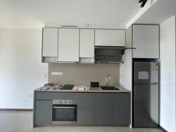 Normanton Park (D5), Apartment #457377841